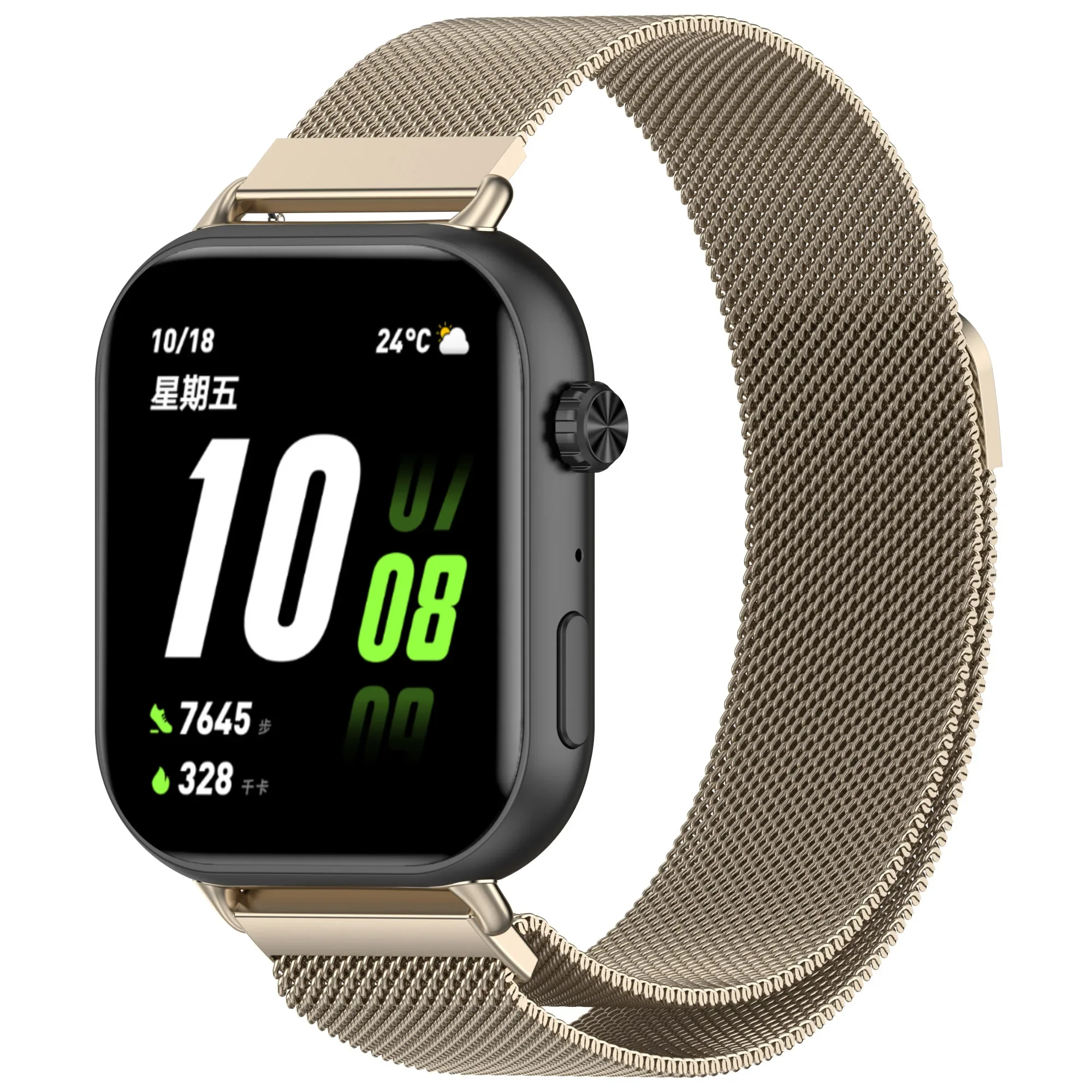 Stainless Steel Metal Magnetic - đánh giá và giá Mesh Strap Metal
